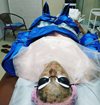Совместно с процедурой по лицу пневмопрессинг всего 500 р!